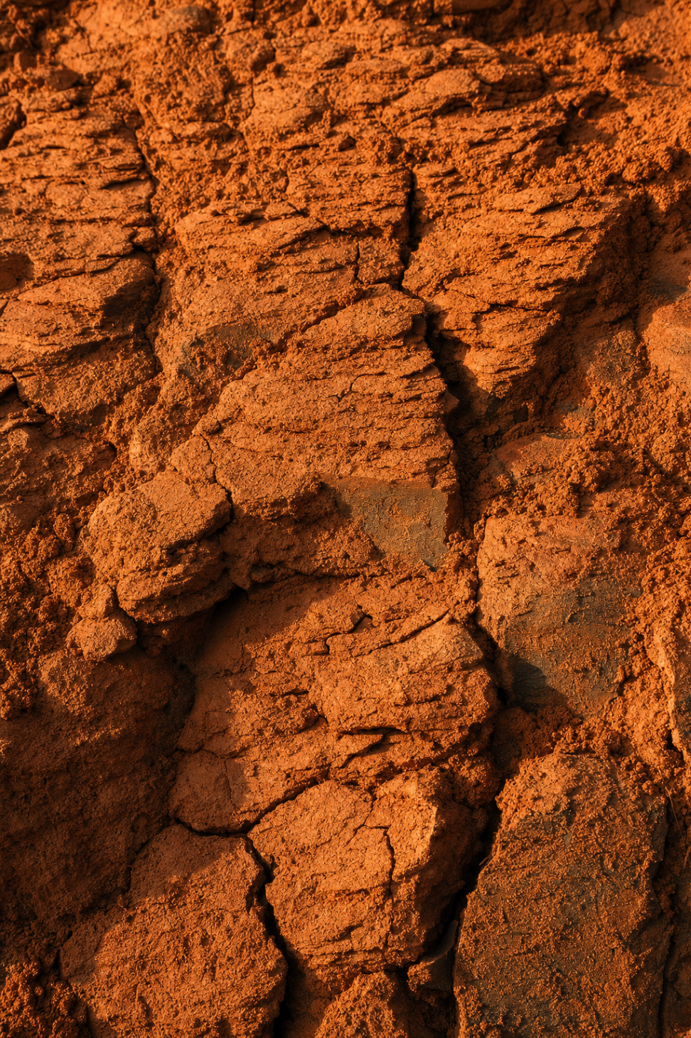 Cracked clay earth — climate-stressed soil